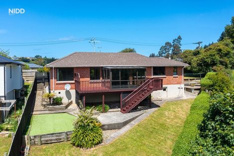 Photo of property in 42 Bradford Street, Bradford, Dunedin, 9011