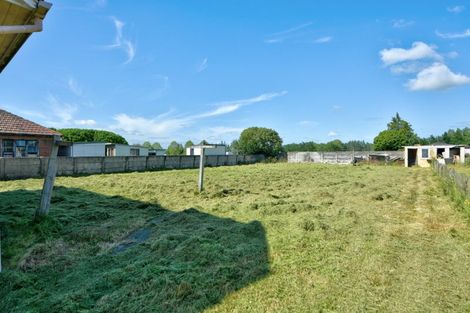 Photo of property in 55 Albion Street, Mataura, 9712