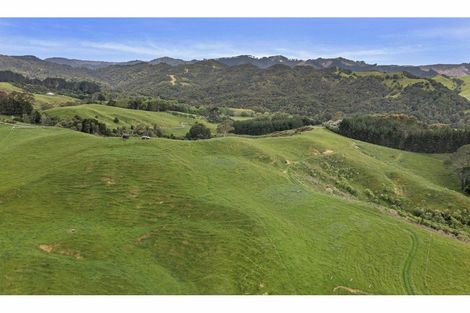 Photo of property in 69c Otonga Valley Road, Raglan, 3295