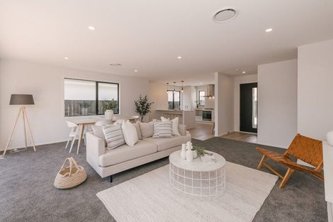 Photo of property in 462 Ruahine Street, Terrace End, Palmerston North, 4410