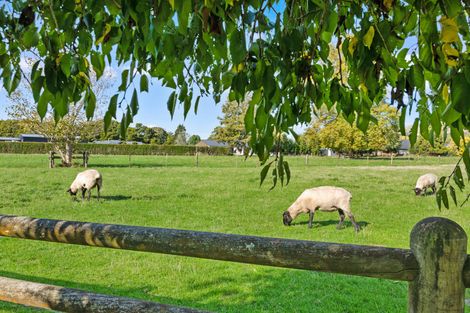 Photo of property in 441 Kuranui Road, Morrinsville, 3372