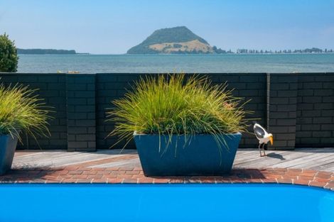 Photo of property in 71 Kulim Avenue, Otumoetai, Tauranga, 3110