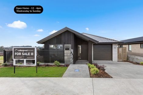 Photo of property in 9 Lumino Terrace, Peacocke, 3206