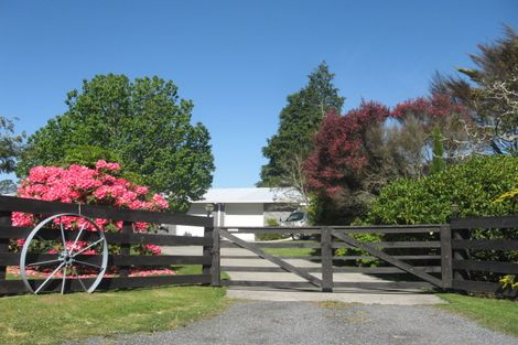 Photo of property in 617 Whakamarama Road, Whakamarama, Tauranga, 3179