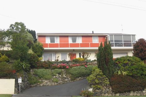 Photo of property in 115 Barr Street, Kenmure, Dunedin, 9011