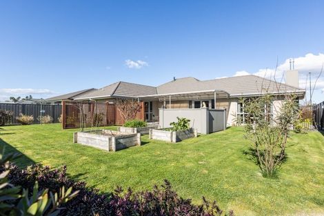 Photo of property in 8 Sue Place, Mahora, Hastings, 4120