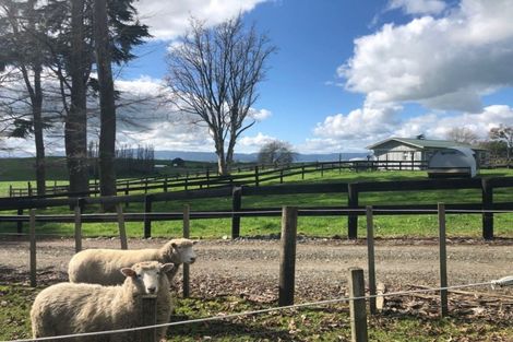 Photo of property in 34 Hetherington Road, Tirau, 3485