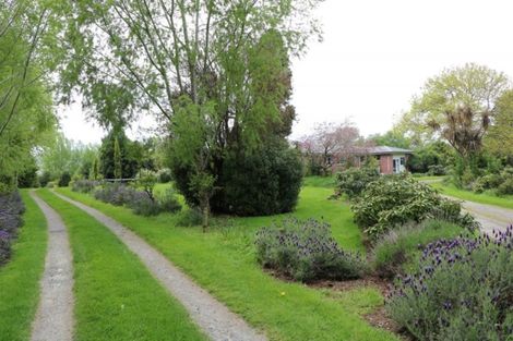 Photo of property in 464 Owaka Valley Road, Owaka, 9586