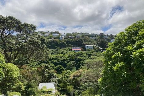 Photo of property in 30 Saint Michaels Crescent, Kelburn, Wellington, 6012