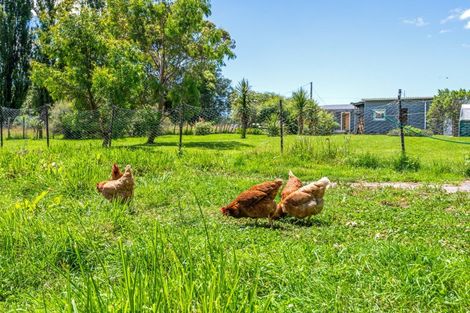 Photo of property in 11 Bevan Street, Woodville, 4920