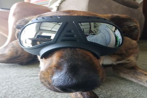 Photo of property in 41 Kirk Street, National Park, Owhango, 3989