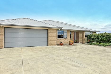 Photo of property in 10 Lochhead Street, Mahora, Hastings, 4120