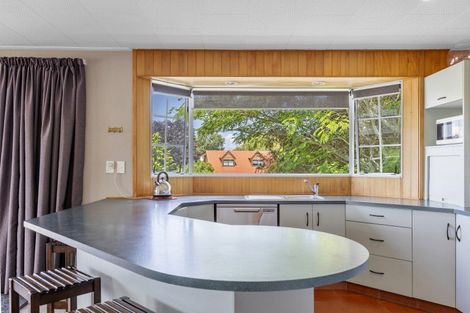 Photo of property in 43 Kaimanawa Street, Taupo, 3330