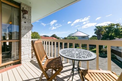 Photo of property in 43a Chambers Street, Havelock North, 4130