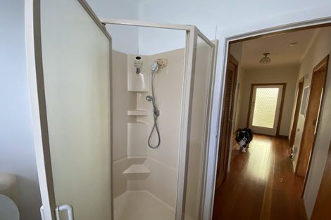 Photo of property in 22 Niccol Avenue, Narrow Neck, Auckland, 0624