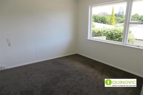 Photo of property in 20 Van Diemen Street, Nelson South, Nelson, 7010