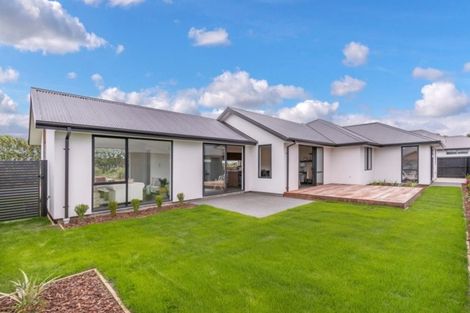 Photo of property in 81 Jimmy Adams Terrace, Lincoln, 7608