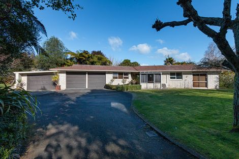 Photo of property in 51 Wainui Avenue, Te Awamutu, 3800