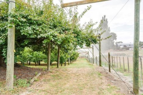 Photo of property in 200 Longlands Road, Longlands, Hastings, 4172