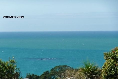 Photo of property in 22 Midgard Road, Coopers Beach, 0420