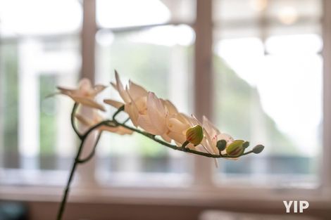 Photo of property in 26 Arapiko Street, Johnsonville, Wellington, 6037