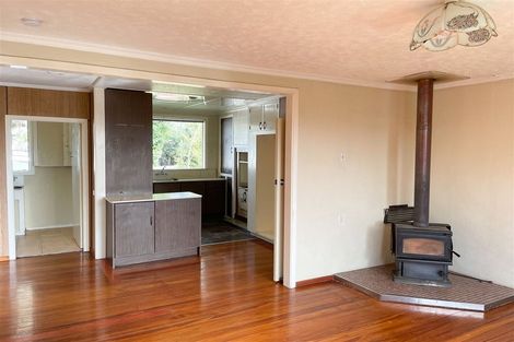 Photo of property in 5 Hope Street, Mataura, 9712