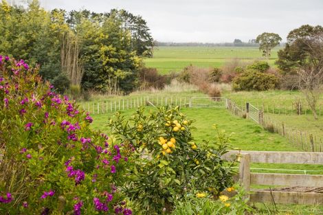 Photo of property in 752 Makino Road, Halcombe, Feilding, 4777