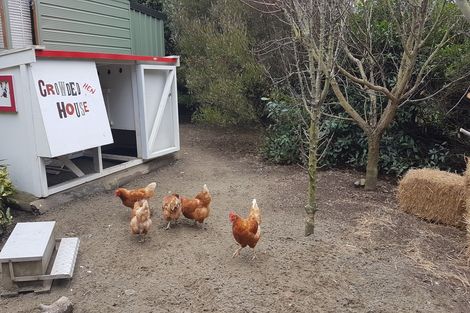 Photo of property in 14 Faith Place, West Melton, Christchurch, 7675