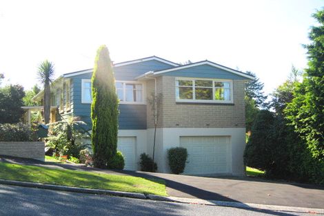 Photo of property in 135 Balmacewen Road, Wakari, Dunedin, 9010