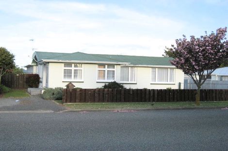 Photo of property in 273 Scott Street, Witherlea, Blenheim, 7201