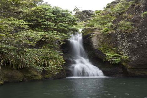 Photo of property in 122 Lone Kauri Road, Karekare, New Lynn, 0772