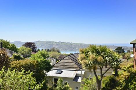 Photo of property in 8 Leven Street, Roslyn, Dunedin, 9010