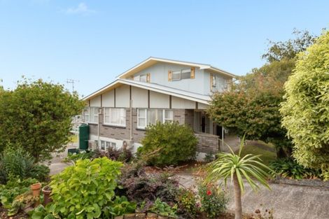 Photo of property in 123 Bellevue Road, Brookfield, Tauranga, 3110