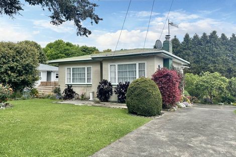 Photo of property in 259 Boucher Avenue, Te Puke, 3119