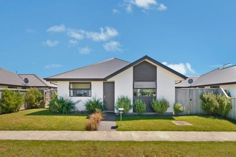 Photo of property in 137 Infinity Drive, Pegasus, 7612