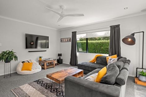 Photo of property in 45 Solomon Street, Brookfield, Tauranga, 3110