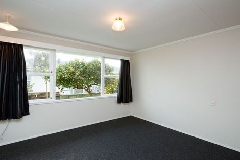 Photo of property in 19 Shelley Street, Roslyn, Palmerston North, 4414
