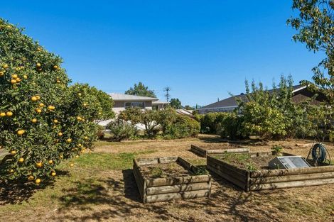 Photo of property in 189 Redwood Street, Witherlea, Blenheim, 7201