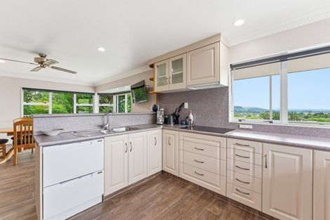 Photo of property in 41 Tiraumea Road, Pahiatua, 4981