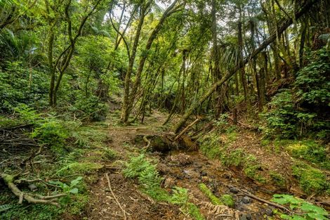 Photo of property in 677 Work Road, Whakamarama, Katikati, 3181