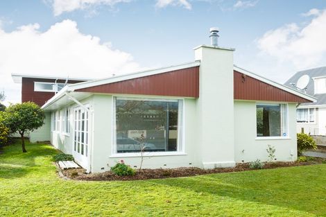 Photo of property in 19 Shelley Street, Roslyn, Palmerston North, 4414