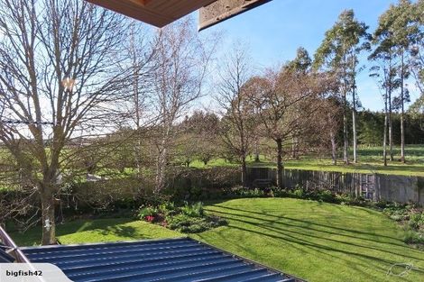 Photo of property in 51 Victoria Street, Oxford, 7430