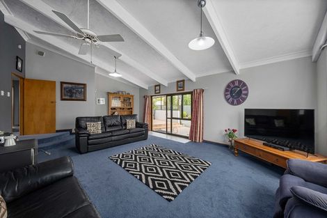 Photo of property in 87 Lakings Road, Yelverton, Blenheim, 7201