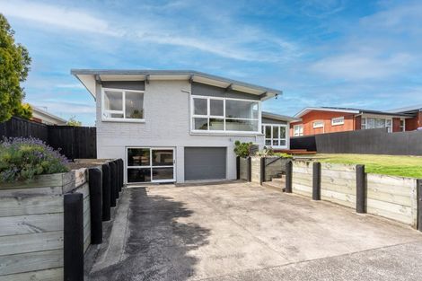 Photo of property in 6 Freemont Street, Chartwell, Hamilton, 3210