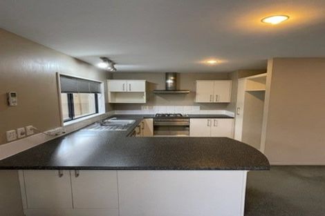 Photo of property in 25b Packe Street, Edgeware, Christchurch, 8013