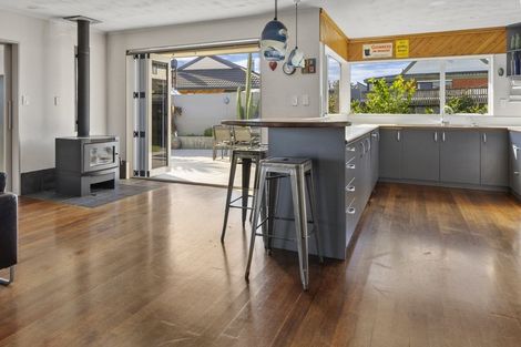 Photo of property in 6 Ledger Close, Richmond, 7020