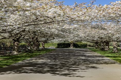 Photo of property in 184 Vicenza Drive, Ohoka, Kaiapoi, 7692