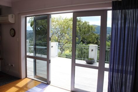 Photo of property in 113 Signal Hill Road, Opoho, Dunedin, 9010