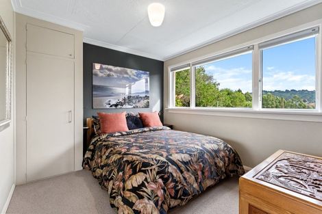 Photo of property in 53 Falcon Street, Kaikorai, Dunedin, 9010