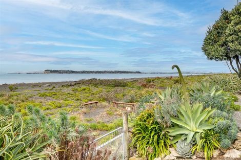Photo of property in 29 Ferguson Street, Bay View, Napier, 4104